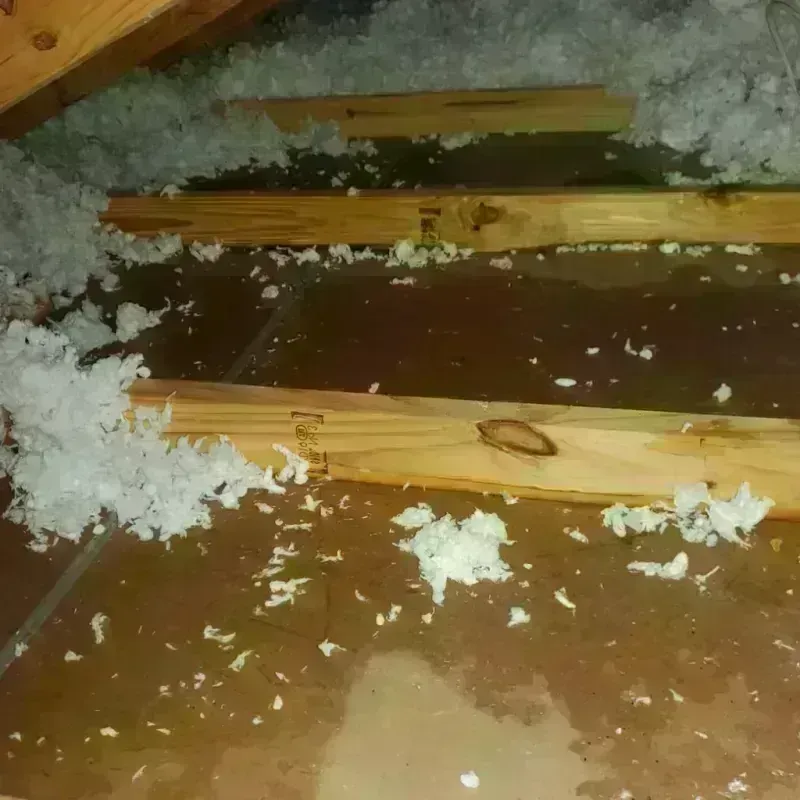 Attic Water Damage in Port Sulphur, LA